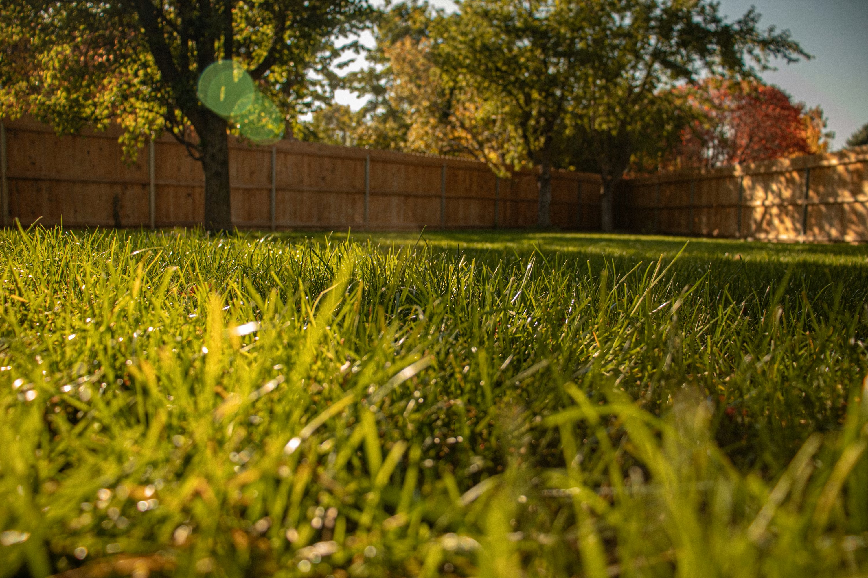Example yard